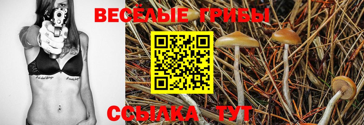 как найти закладки  Вход с VPN  Омск  Галлюциногенные грибы Cubensis  Псилоцибиновые грибы Psilocybe 