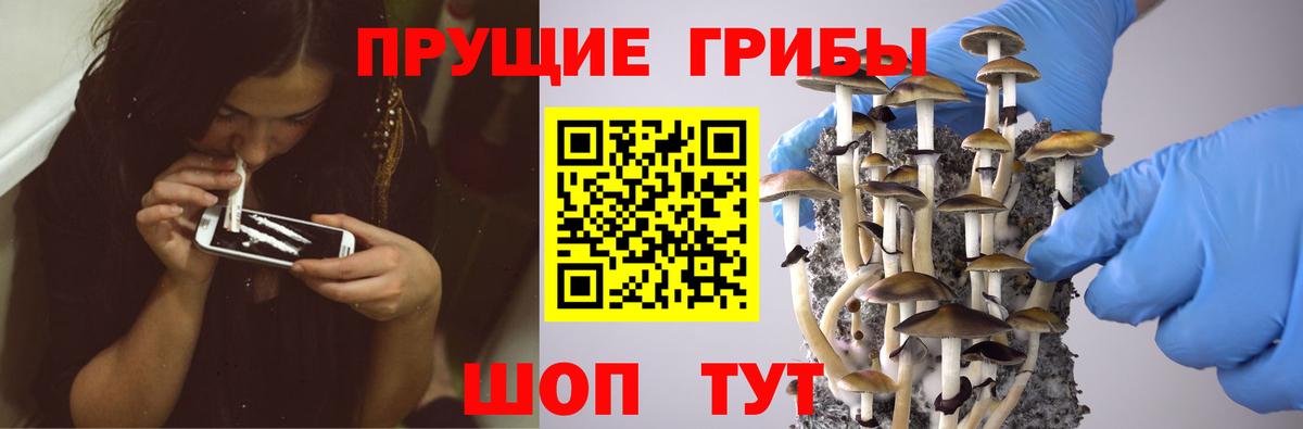 Галлюциногенные грибы мицелий Омск